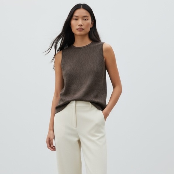 Eileen Fisher Tops - ⭐️ Eileen Fisher 100% Wool Knit Tank Top Brown LARGE